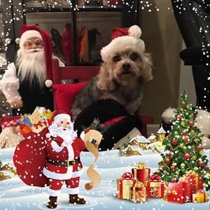 Meet your Posher, Anita